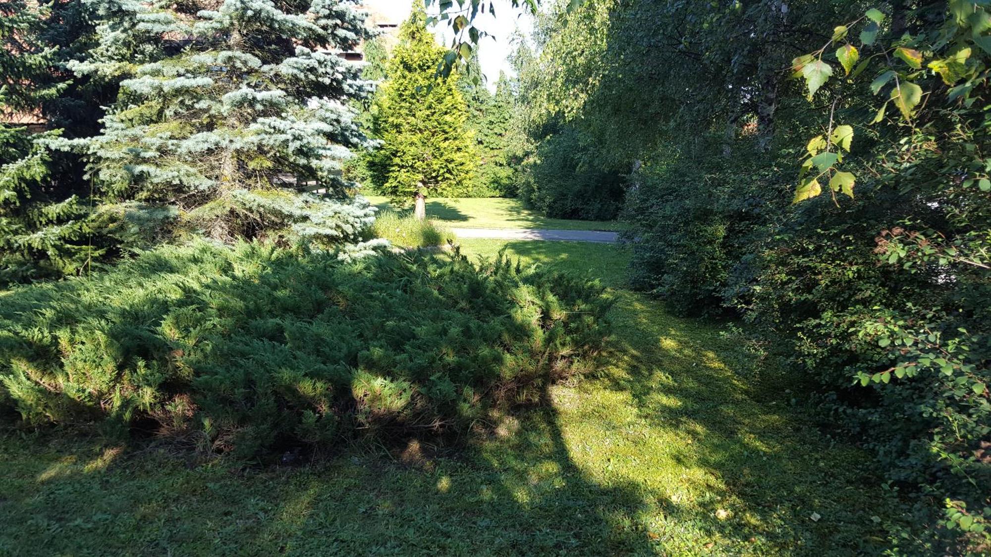 Holiday Home Vila Tejic Zlatibor Luaran gambar