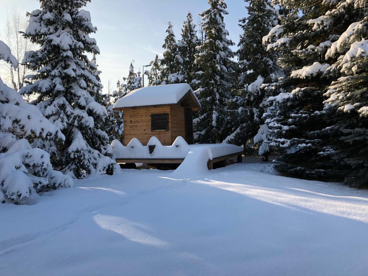 Holiday Home Vila Tejic Zlatibor Luaran gambar