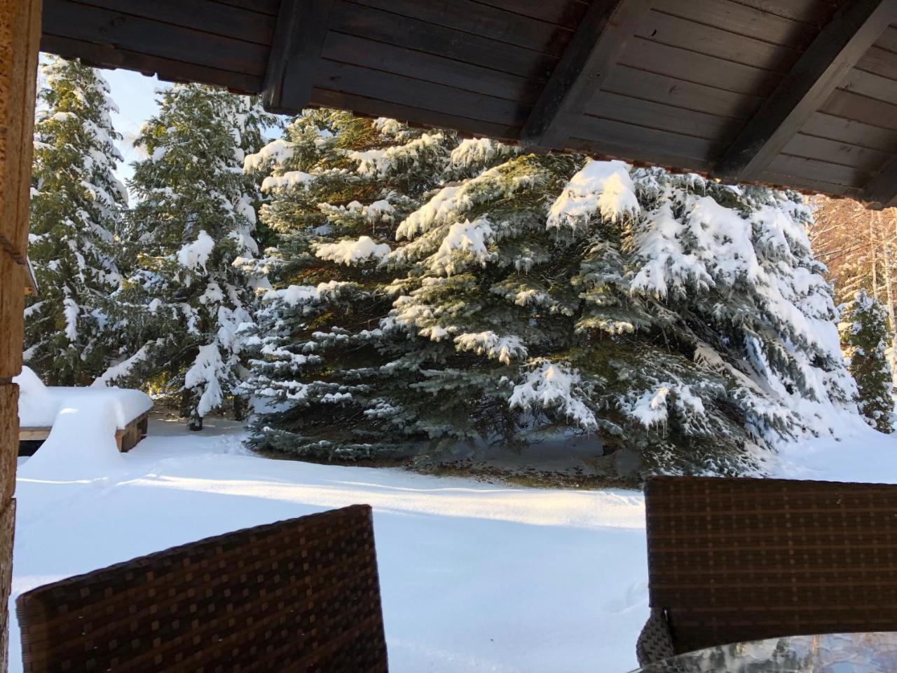 Holiday Home Vila Tejic Zlatibor Luaran gambar