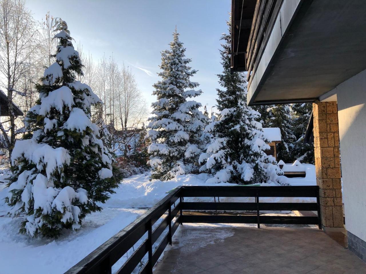 Holiday Home Vila Tejic Zlatibor Luaran gambar